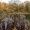 Karlsruhe: Oberwaldsee