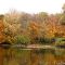 Karlsruhe: Oberwaldsee