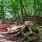 Tierfoto aus dem Wildparadies Tripsdrill