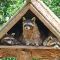 Tierfoto aus dem Wildparadies Tripsdrill