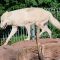 Tierfoto aus dem Wildparadies Tripsdrill