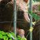 Tierfoto aus dem Wildparadies Tripsdrill