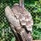 Tierfoto aus dem Wildparadies Tripsdrill